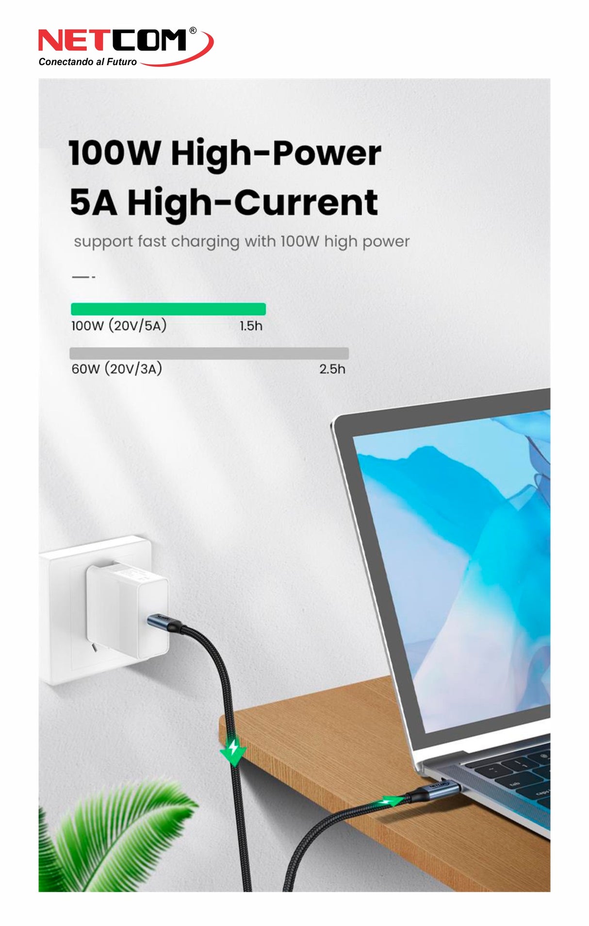 CABLE USB-C V3.2 GEN2 DE 1 MTS NETCOM PE-CA0106