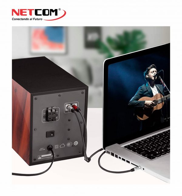 CABLE 2 RCA MACHO A 1 PLUG 3.5MM DE 3 MTS NETCOM PE-RS0123