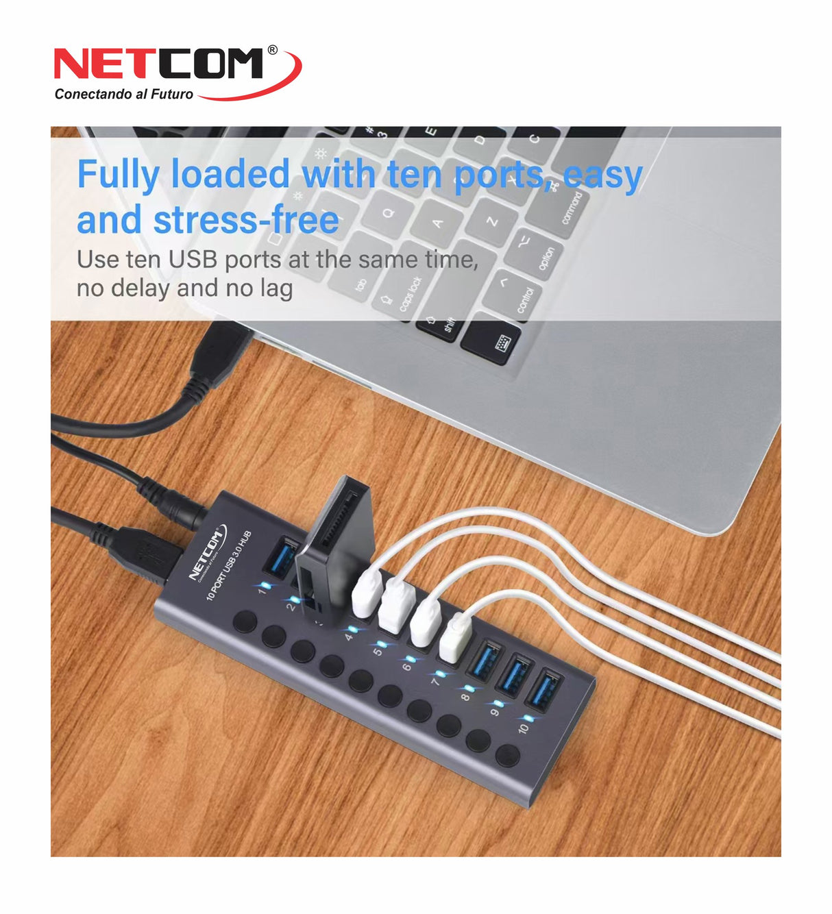 Hub USB 3.0 de 10 Puertos con Switch Independiente PE-HB0098 NETCOM