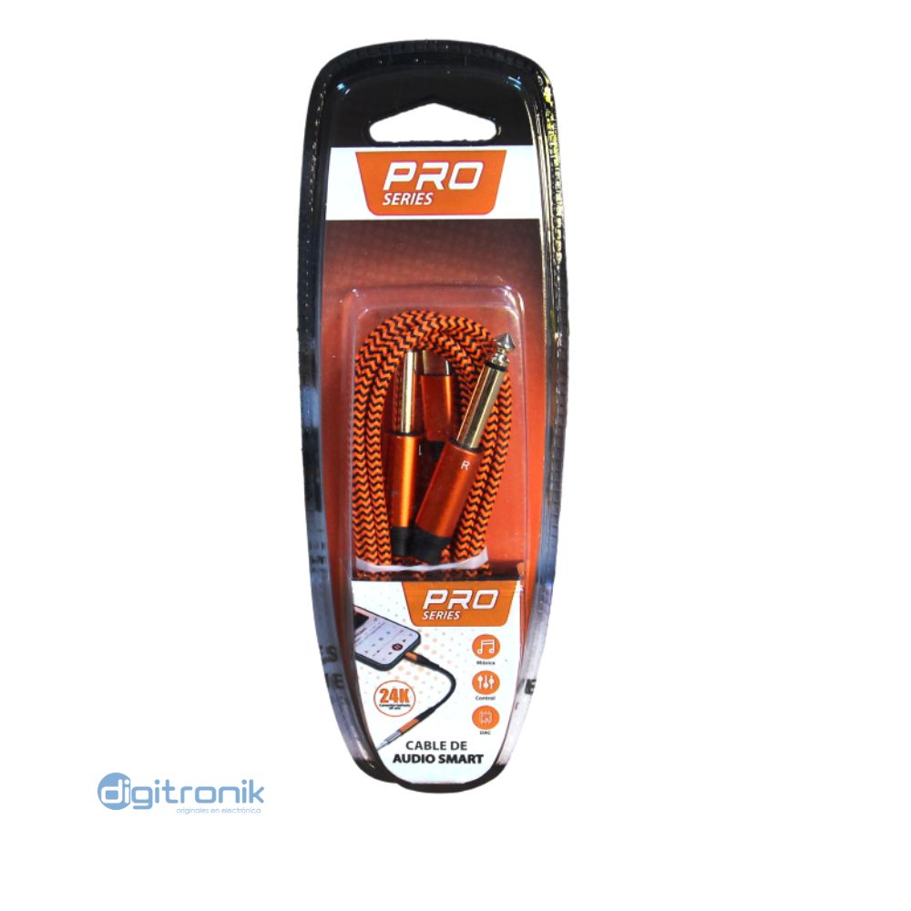 CONDUCTOR 2 PLUG MONO PRO SERIES DE 6.3MM A USB C PS-635-2MT