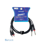 CABLE DE AUDIO 2 PLUG RCA A 2 PLUG MONO 6.3MM 2M ROXTONE SACC150L2