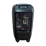 CAJA ACUST ACT 10" 400W C/USB BT,FM PZ-2110AUN-CB