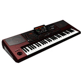 ARRANGER PROFESIONAL TECLADO KORG 61 TECLAS 300MB PA-1000