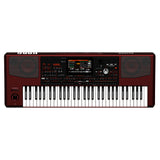 ARRANGER PROFESIONAL TECLADO KORG 61 TECLAS 300MB PA-1000